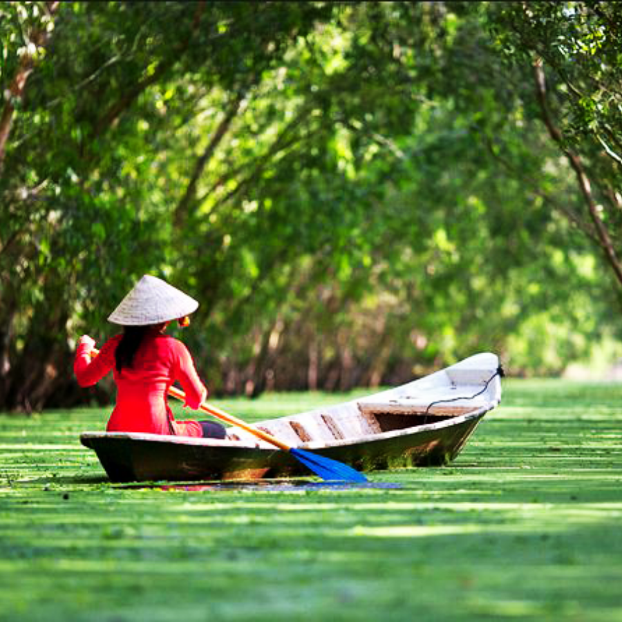 Rừng tràm Trà Sư - Viên ngọc xanh mát mắt